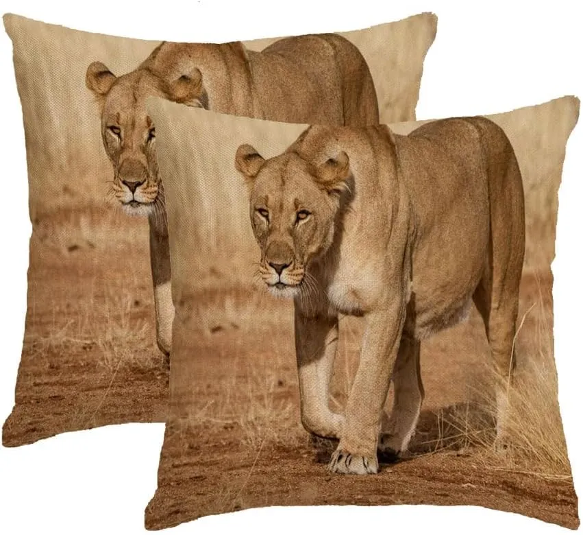 2 Packs Outdoor Waterproof Decorative Throw Pillow Covers 20x20 Inch African Female Lion Walks Across Dirt Toad Animals Wildlife Africa Aggressive Angry Beautiful Big Cushion Case for Couch Bed Sofa