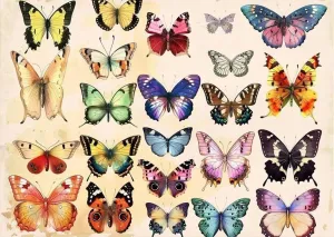 Adult Entertainment Jigsaw Puzzle 1000 Pieces Aerial View Aquarium Bay Puzzle Game for Family Wooden Puzzle Toy Educational Games Puzzles for Home Decor