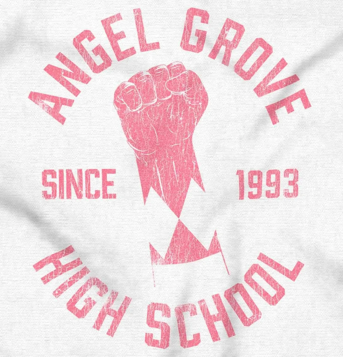 Brisco Brands Angel Grove High School Since 1993 Hoodie Sweatshirt Women Men
