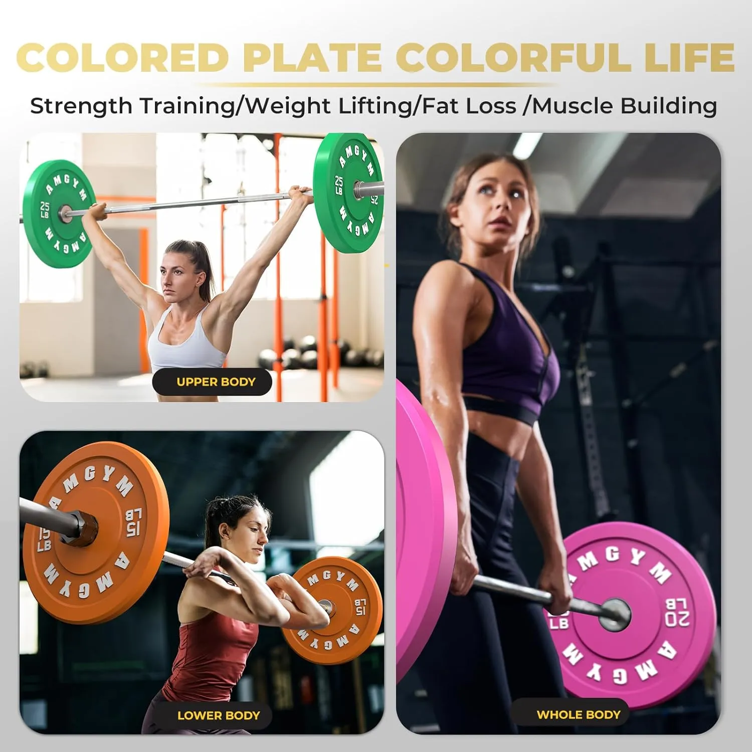 Color Coded Bumper Plate, Olympic Bumper Plate for Barbell, 2-Inch Bumper Weight Plates With Steel Insert, rubber weight plates for Strength Training in Home Gym