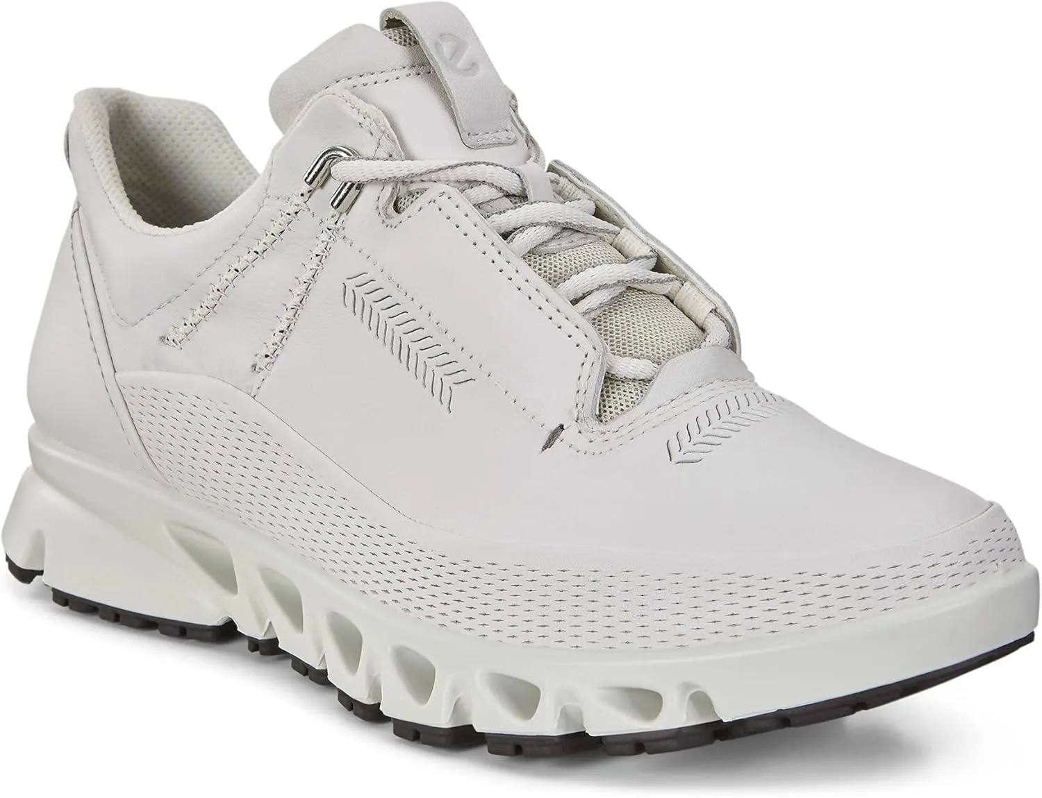 ECCO Men's Multi-Vent Gore-Tex Waterproof Hiking Shoe