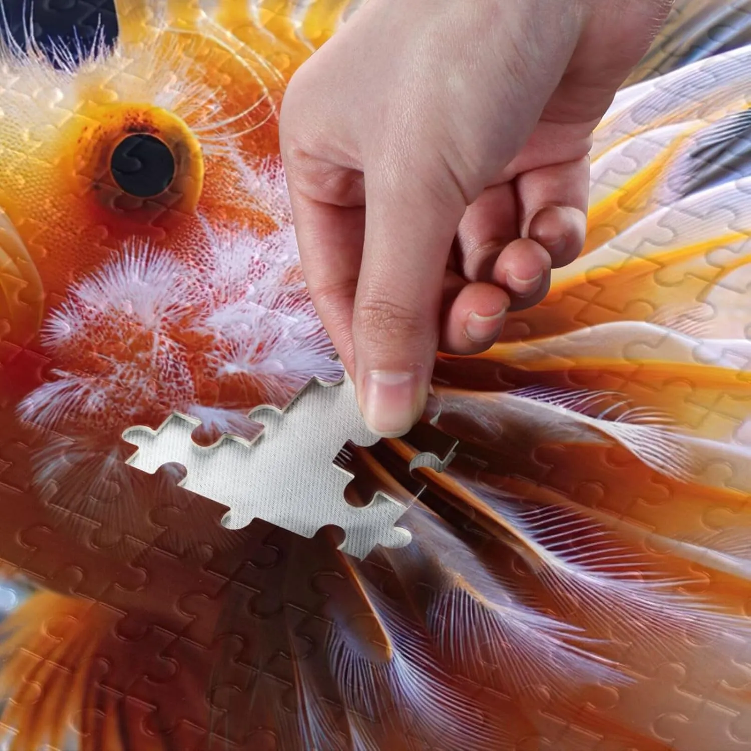 Funny Sea Fish Golden Puzzle Funny Challenging Puzzles Game for Adults, Finished Size 29.5" x 19.7"