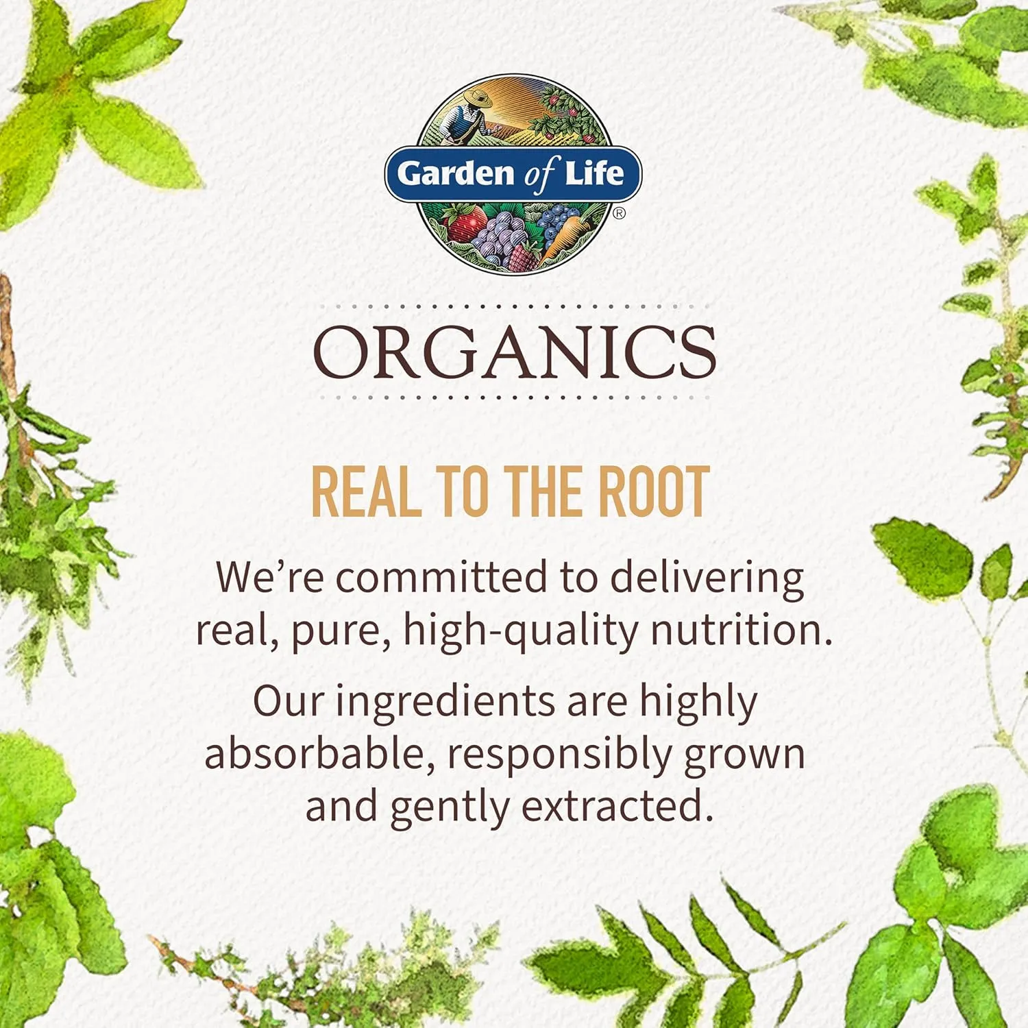 Garden of Life Organics Whole Food Multivitamin for Men, 60 Tablets, Vegan Mens Vitamins and Minerals for Mens Health and Well-Being, Certified Organic Vegan Mens Multi
