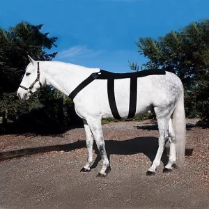 Ice Horse Back Blanket for Equine Therapy - Comes with Ice Packs Inserts