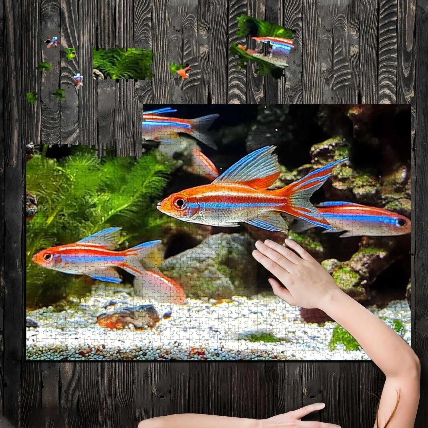 Puzzles for Adults 1000 Pieces landscaped Freshwater Tropical Aquarium Fish Tank neon Guppies Wooden Jigsaw Puzzles Challenging Fun Educational Family Games Kid Toys Art Work Gift Home Decor