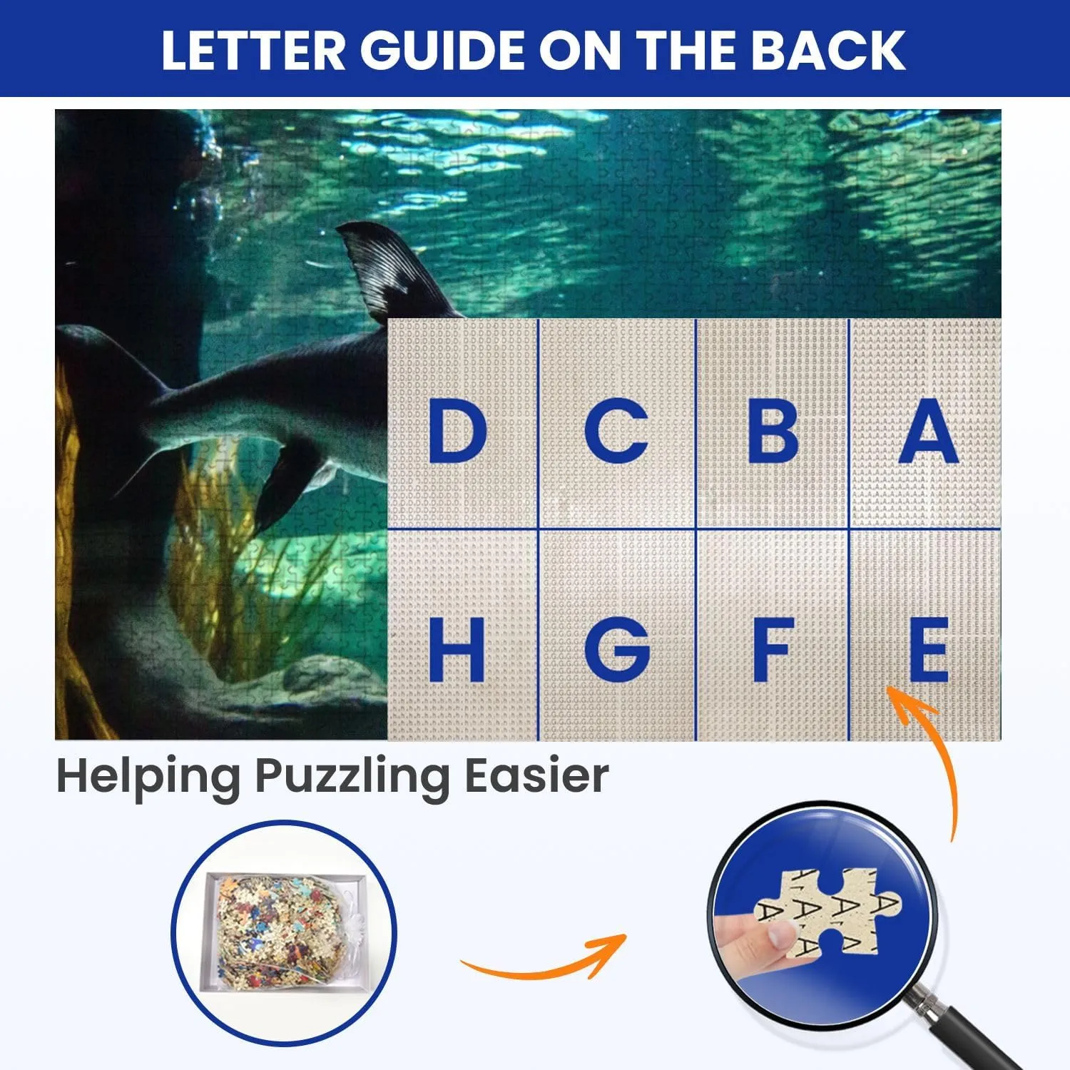 Puzzles for Adults 1000 Pieces Large Fish Known as Great Sturgeon is Swiming Underwater Wooden Jigsaw Puzzles Challenging Fun Educational Family Games Kid Toys Art Work Gift Home Decor