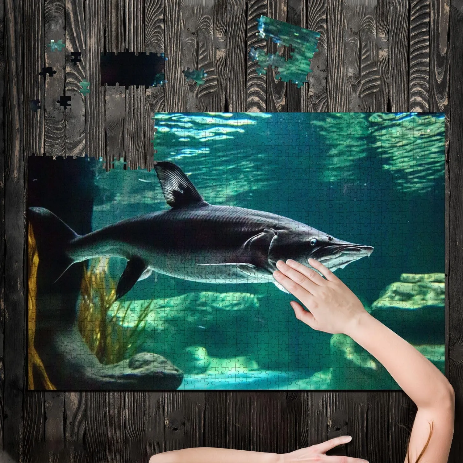 Puzzles for Adults 1000 Pieces Large Fish Known as Great Sturgeon is Swiming Underwater Wooden Jigsaw Puzzles Challenging Fun Educational Family Games Kid Toys Art Work Gift Home Decor