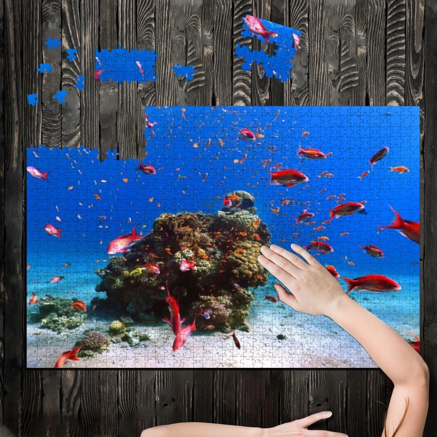 Puzzles for Adults 1000 Pieces Red Fish red sea Wooden Jigsaw Puzzles Challenging Fun Educational Family Games Kid Toys Art Work Gift Home Decor