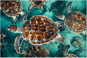 Puzzles for Adults 1000 Pieces Sea Turtle Swims Under Water Pond Aquarium Wooden Jigsaw Puzzles Challenging Fun Educational Family Games Kid Toys Art Work Gift Home Decor