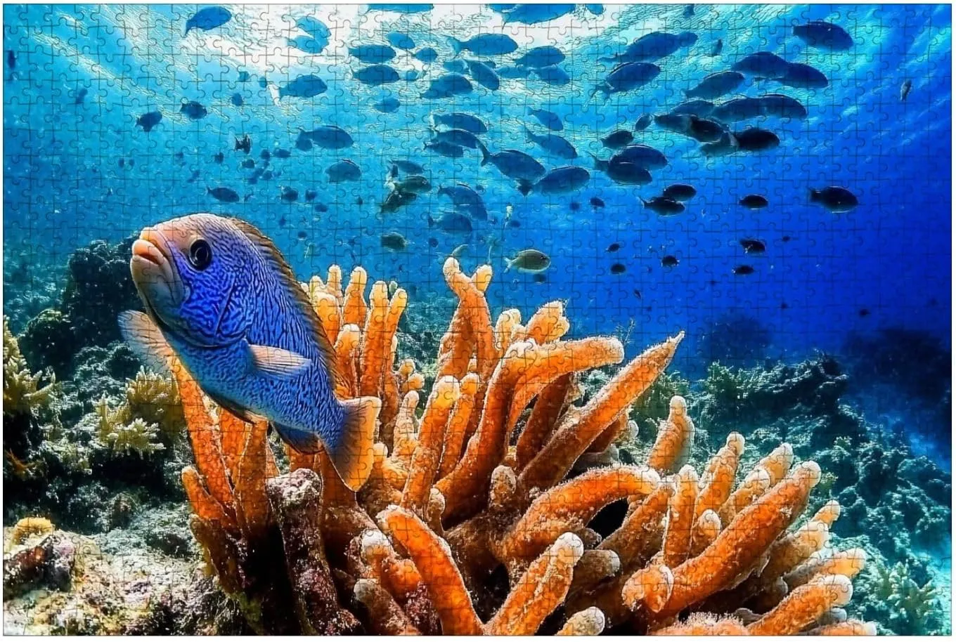 Puzzles for Adults 1000 Pieces Seascape Coral Caribbean Sea Around Sponge School Fish Wooden Jigsaw Puzzles Challenging Fun Educational Family Games Kid Toys Art Work Gift Home Decor