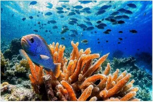 Puzzles for Adults 1000 Pieces Seascape Coral Caribbean Sea Around Sponge School Fish Wooden Jigsaw Puzzles Challenging Fun Educational Family Games Kid Toys Art Work Gift Home Decor