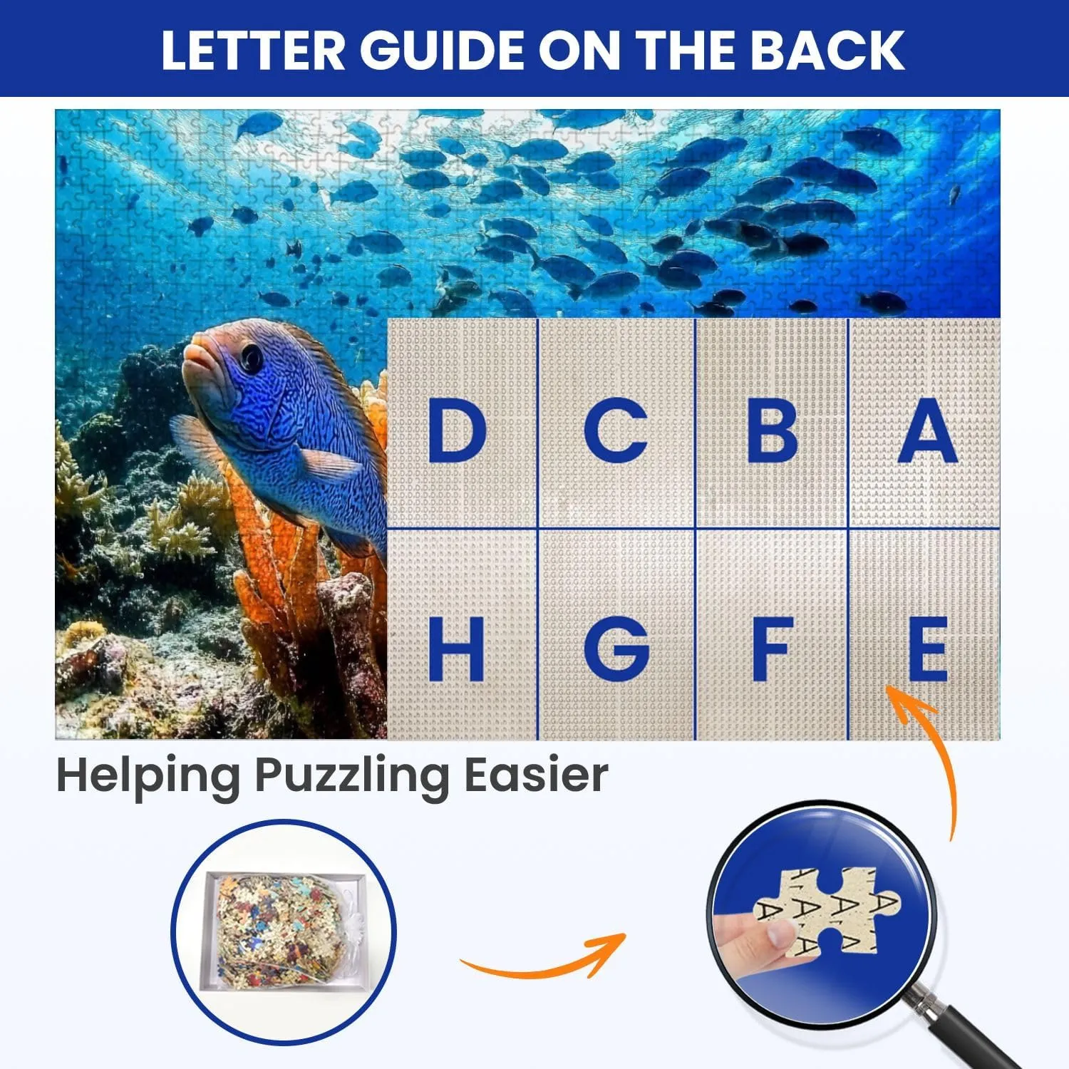 Puzzles for Adults 1000 Pieces Seascape Coral Caribbean Sea Around Sponge School Fish Wooden Jigsaw Puzzles Challenging Fun Educational Family Games Kid Toys Art Work Gift Home Decor
