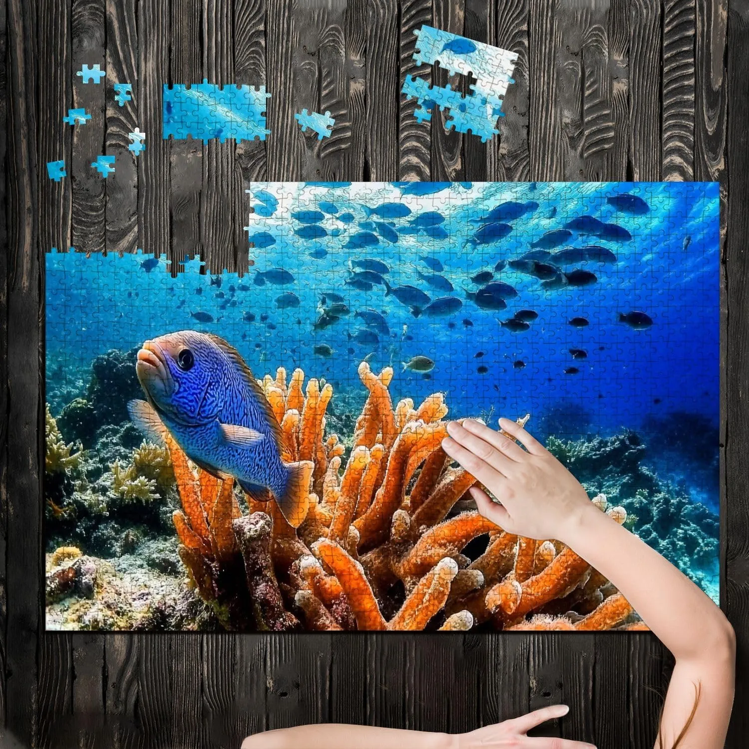 Puzzles for Adults 1000 Pieces Seascape Coral Caribbean Sea Around Sponge School Fish Wooden Jigsaw Puzzles Challenging Fun Educational Family Games Kid Toys Art Work Gift Home Decor