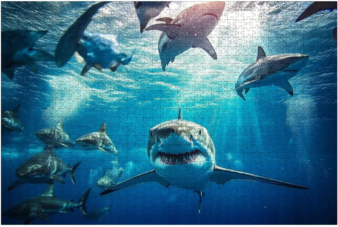Puzzles for Adults 1000 Pieces Shark Swimming Beneath Surface Sun School Fish Foreground Wooden Jigsaw Puzzles Challenging Fun Educational Family Games Kid Toys Art Work Gift Home Decor