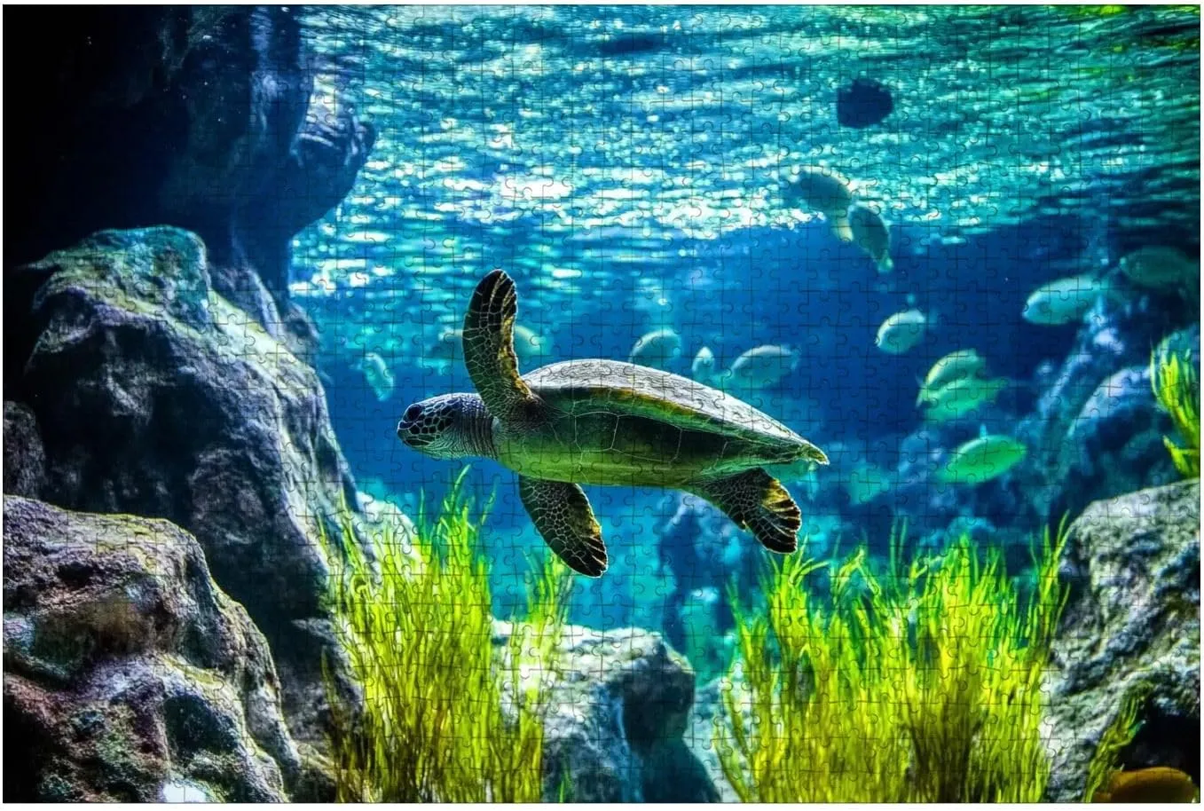 Puzzles for Adults 1000 Pieces Turtle Swimming Tank Fish Wooden Jigsaw Puzzles Challenging Fun Educational Family Games Kid Toys Art Work Gift Home Decor