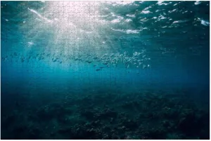 Puzzles for Adults 1000 Pieces Underwater View Tuna School Fish Ocean Wooden Jigsaw Puzzles Challenging Fun Educational Family Games Kid Toys Art Work Gift Home Decor