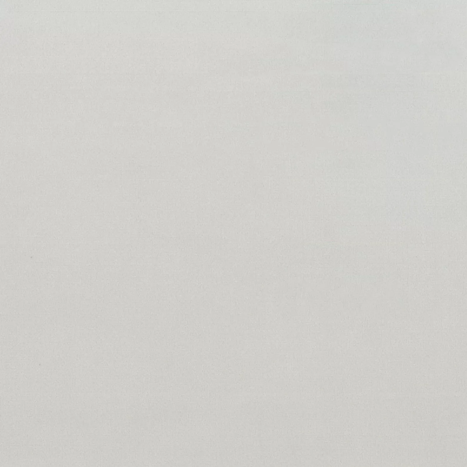 Second Duke Polar Velvet Fabric
