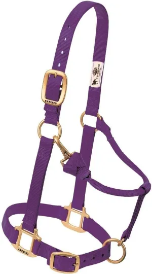 Weaver Equine Original Adjustable Chin and Throat Snap Halter, 1", Large Horse